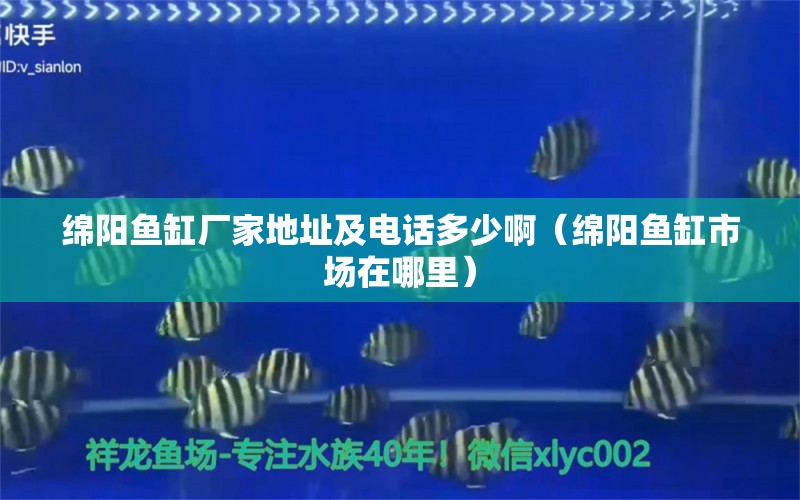 绵阳鱼缸厂家地址及电话多少啊（绵阳鱼缸市场在哪里） 委内瑞拉奥里诺三间鱼苗