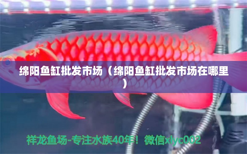 绵阳鱼缸批发市场（绵阳鱼缸批发市场在哪里） 观赏鱼水族批发市场