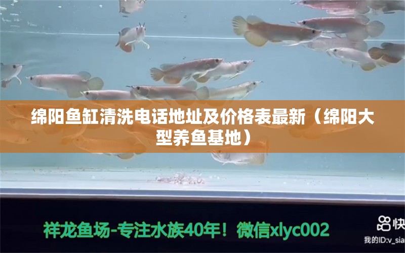 绵阳鱼缸清洗电话地址及价格表最新（绵阳大型养鱼基地） 海象鱼