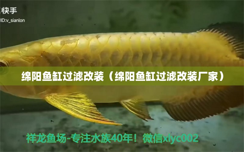 绵阳鱼缸过滤改装（绵阳鱼缸过滤改装厂家） 祥龙水族医院