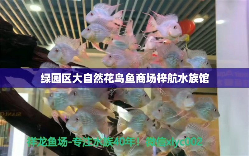 绿园区大自然花鸟鱼商场梓航水族馆