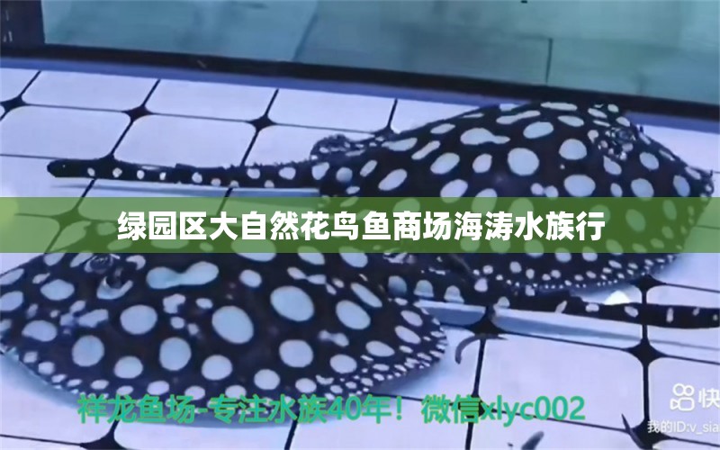 绿园区大自然花鸟鱼商场海涛水族行 全国水族馆企业名录