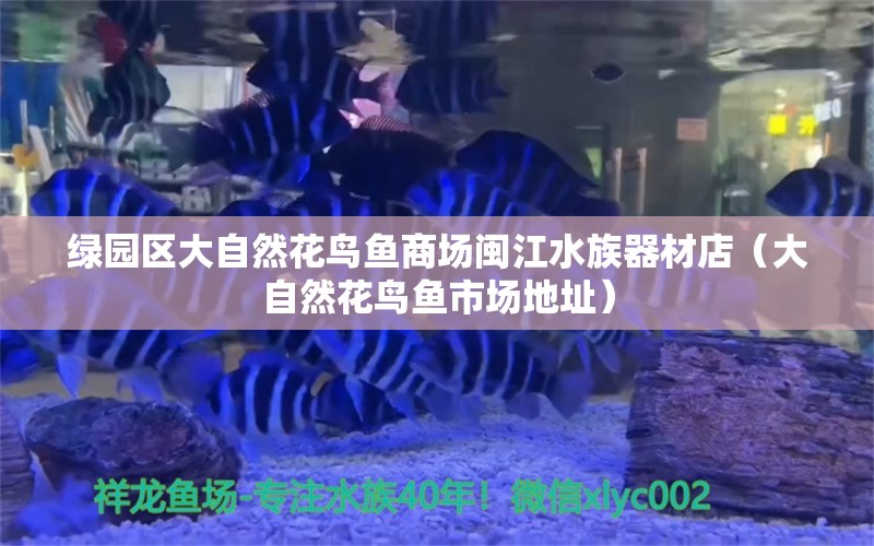 绿园区大自然花鸟鱼商场闽江水族器材店（大自然花鸟鱼市场地址）