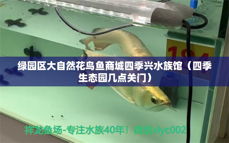 绿园区大自然花鸟鱼商城四季兴水族馆（四季生态园几点关门）