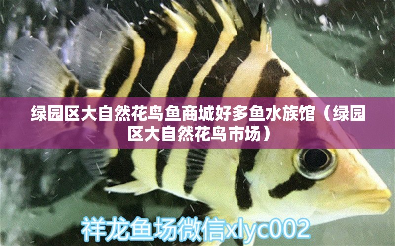 绿园区大自然花鸟鱼商城好多鱼水族馆（绿园区大自然花鸟市场） 全国水族馆企业名录