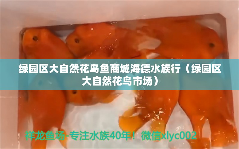 绿园区大自然花鸟鱼商城海德水族行（绿园区大自然花鸟市场） 全国水族馆企业名录