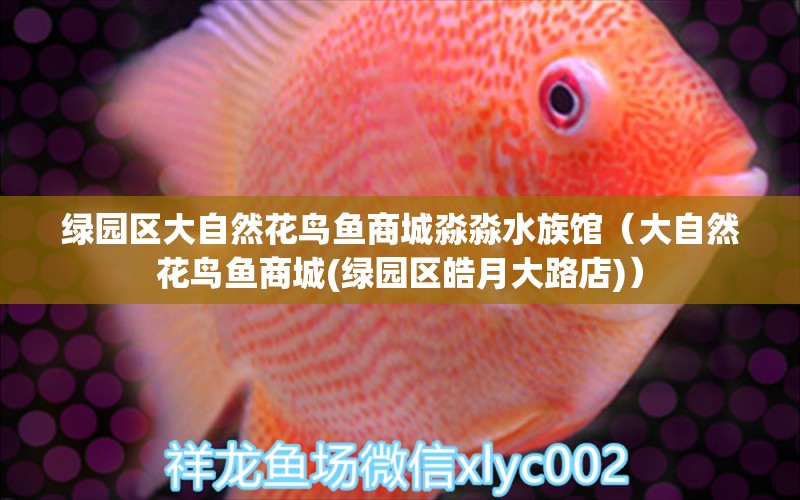 绿园区大自然花鸟鱼商城淼淼水族馆（大自然花鸟鱼商城(绿园区皓月大路店)）