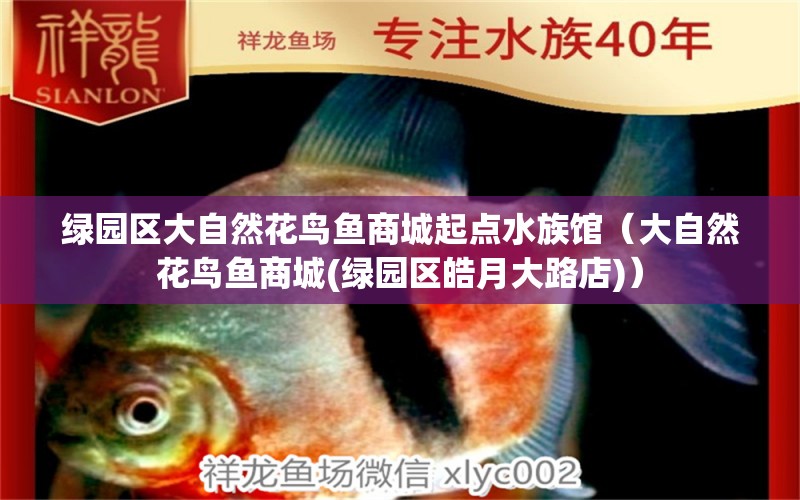 绿园区大自然花鸟鱼商城起点水族馆（大自然花鸟鱼商城(绿园区皓月大路店)）