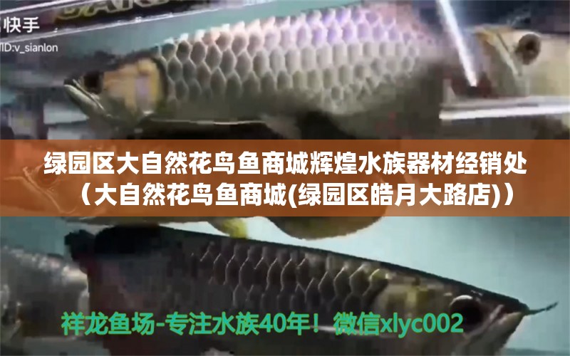 绿园区大自然花鸟鱼商城辉煌水族器材经销处（大自然花鸟鱼商城(绿园区皓月大路店)） 全国水族馆企业名录