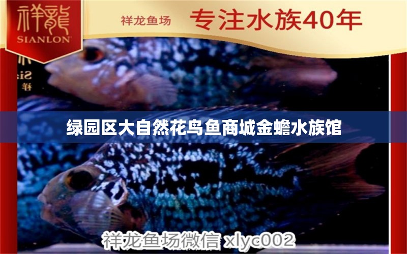 绿园区大自然花鸟鱼商城金蟾水族馆