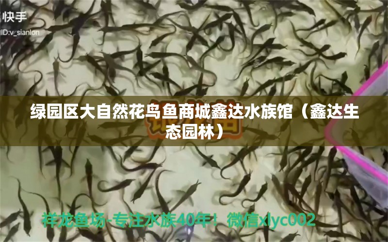 绿园区大自然花鸟鱼商城鑫达水族馆（鑫达生态园林）