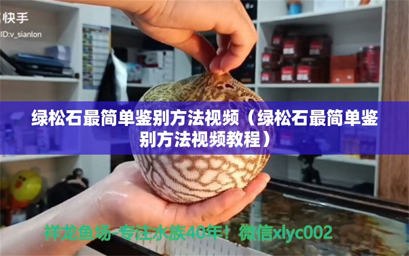 绿松石最简单鉴别方法视频（绿松石最简单鉴别方法视频教程） 文玩