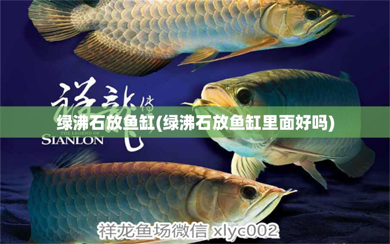 绿沸石放鱼缸(绿沸石放鱼缸里面好吗) 其它水族用具设备 第1张