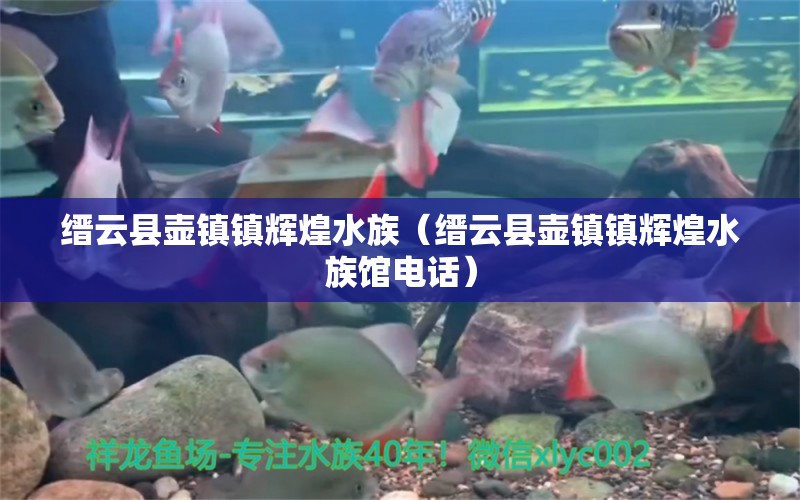 缙云县壶镇镇辉煌水族（缙云县壶镇镇辉煌水族馆电话） 全国水族馆企业名录