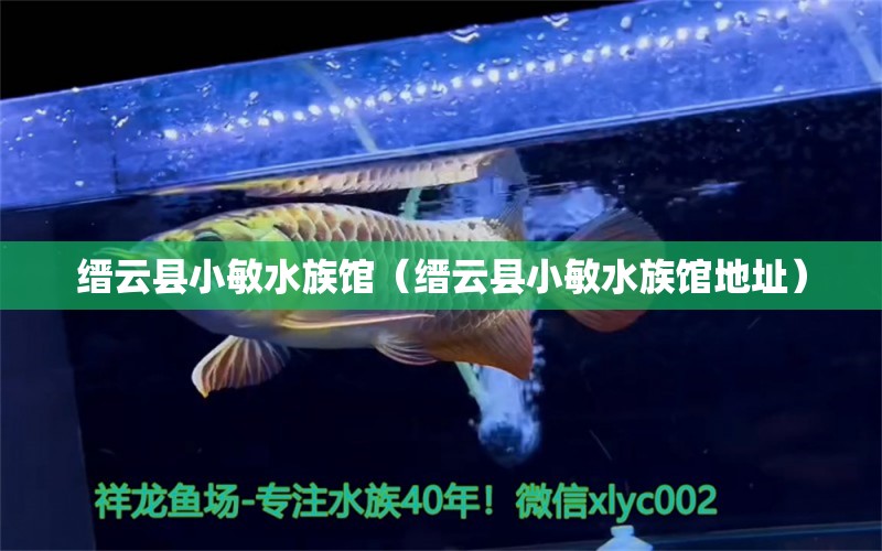 缙云县小敏水族馆（缙云县小敏水族馆地址）