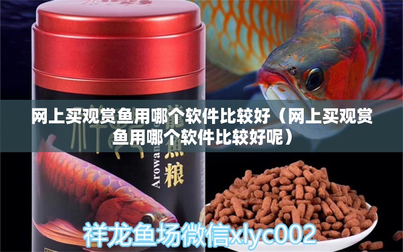 网上买观赏鱼用哪个软件比较好（网上买观赏鱼用哪个软件比较好呢） 网上购买观赏鱼