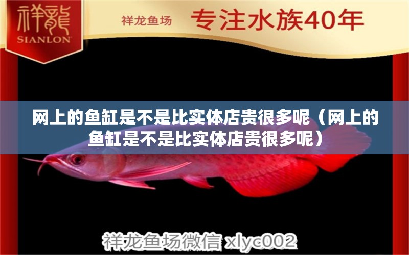 网上的鱼缸是不是比实体店贵很多呢（网上的鱼缸是不是比实体店贵很多呢）