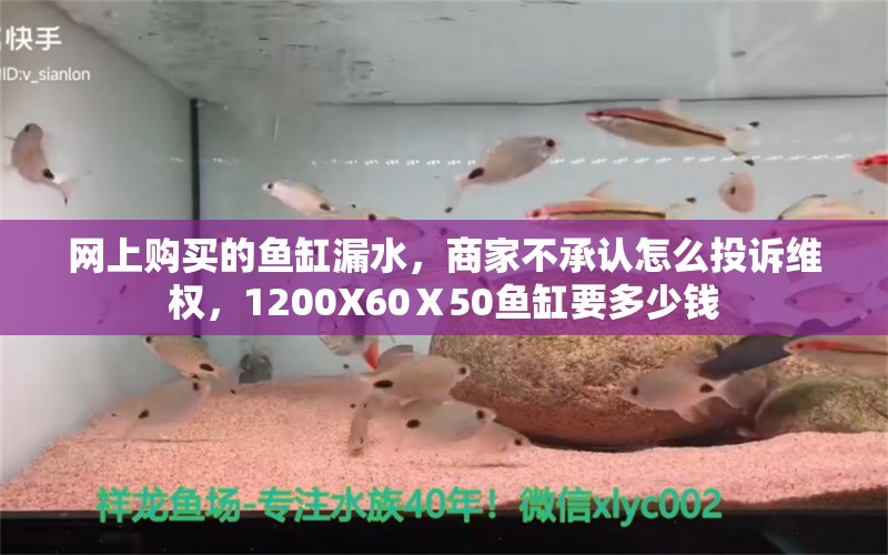 网上购买的鱼缸漏水，商家不承认怎么投诉维权，1200X60Ⅹ50鱼缸要多少钱 养鱼的好处 第1张