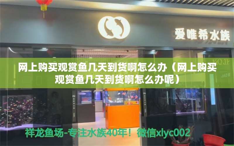 网上购买观赏鱼几天到货啊怎么办（网上购买观赏鱼几天到货啊怎么办呢）