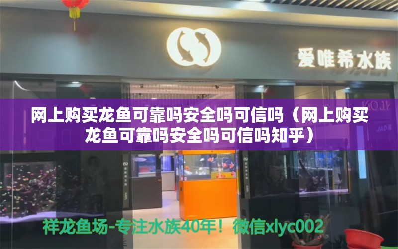 网上购买龙鱼可靠吗安全吗可信吗（网上购买龙鱼可靠吗安全吗可信吗知乎）