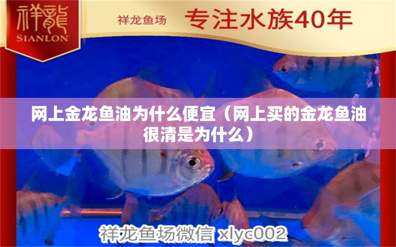 网上金龙鱼油为什么便宜（网上买的金龙鱼油很清是为什么） 广州龙鱼批发市场