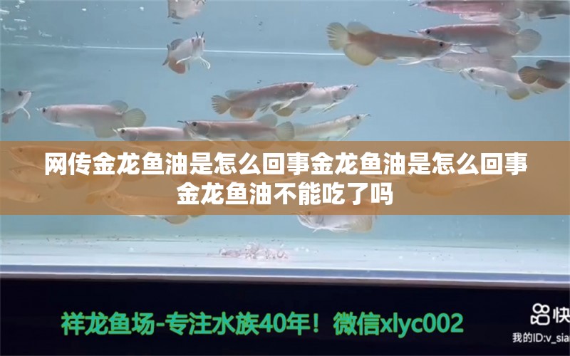 网传金龙鱼油是怎么回事金龙鱼油是怎么回事金龙鱼油不能吃了吗