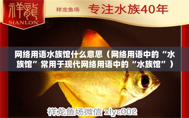 网络用语水族馆什么意思（网络用语中的“水族馆”常用于现代网络用语中的“水族馆”） 水族馆百科（水族馆加盟） 第1张