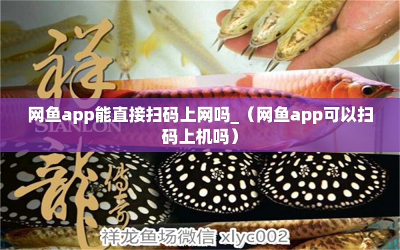 网鱼app能直接扫码上网吗_（网鱼app可以扫码上机吗） 申古三间鱼