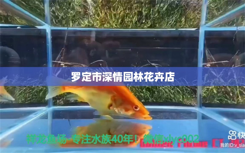 罗定市深情园林花卉店 全国水族馆企业名录