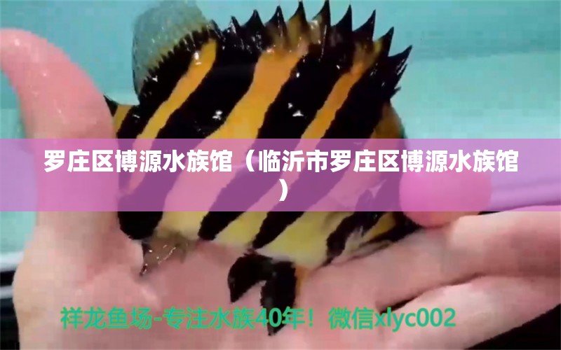 罗庄区博源水族馆（临沂市罗庄区博源水族馆）