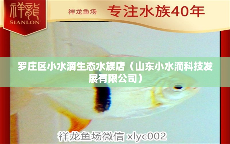 罗庄区小水滴生态水族店（山东小水滴科技发展有限公司） 全国水族馆企业名录