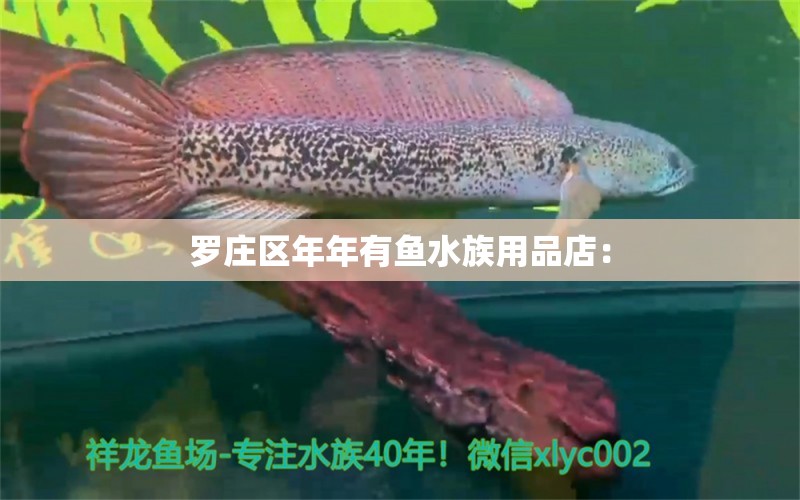 罗庄区年年有鱼水族用品店： 水族用品