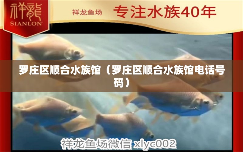 罗庄区顺合水族馆（罗庄区顺合水族馆电话号码） 全国水族馆企业名录