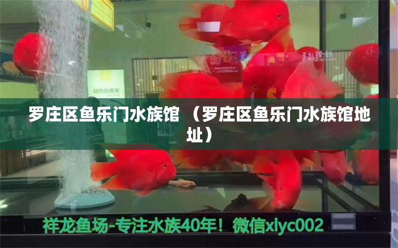 罗庄区鱼乐门水族馆 （罗庄区鱼乐门水族馆地址） 全国水族馆企业名录 第1张