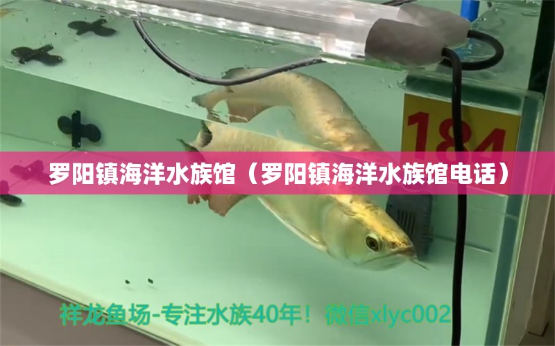 罗阳镇海洋水族馆（罗阳镇海洋水族馆电话） 全国水族馆企业名录