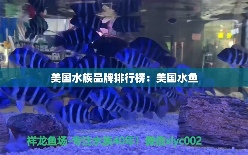 美国水族品牌排行榜：美国水鱼