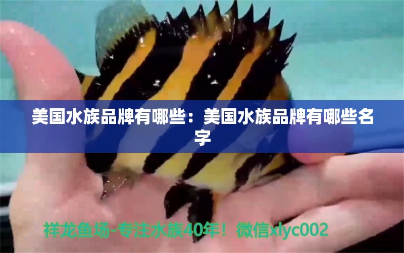 美国水族品牌有哪些：美国水族品牌有哪些名字