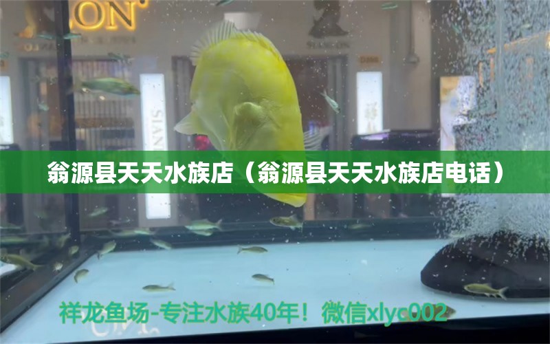 翁源县天天水族店（翁源县天天水族店电话）