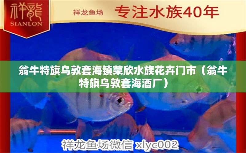 翁牛特旗乌敦套海镇荣欣水族花卉门市（翁牛特旗乌敦套海酒厂）