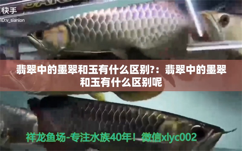 翡翠中的墨翠和玉有什么区别?：翡翠中的墨翠和玉有什么区别呢 文玩