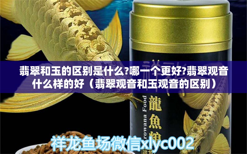 翡翠和玉的区别是什么?哪一个更好?翡翠观音什么样的好（翡翠观音和玉观音的区别）