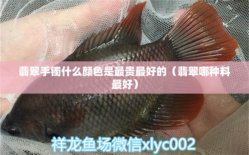 翡翠手镯什么颜色是最贵最好的（翡翠哪种料最好） 文玩