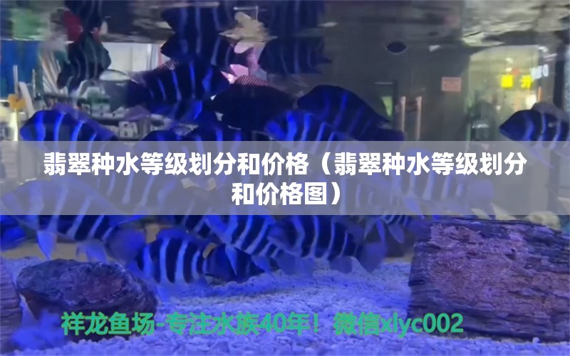 翡翠种水等级划分和价格（翡翠种水等级划分和价格图） 文玩