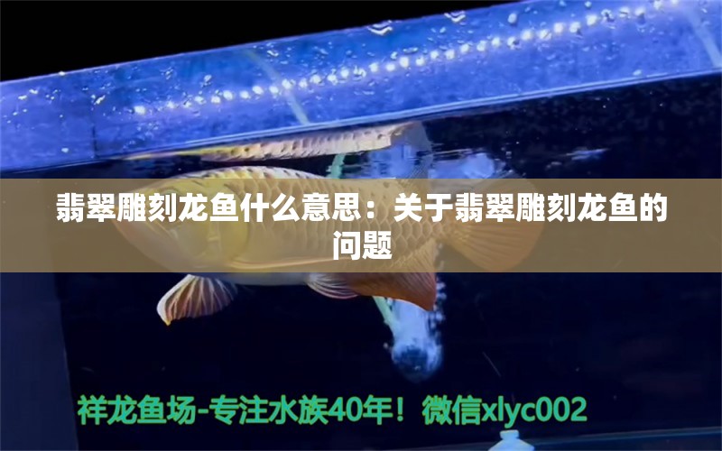 翡翠雕刻龙鱼什么意思：关于翡翠雕刻龙鱼的问题 水族问答 第2张