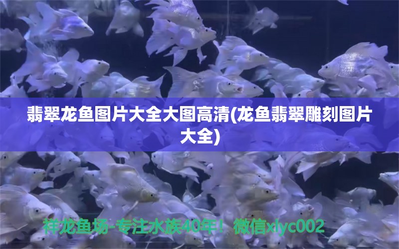 翡翠龙鱼图片大全大图高清(龙鱼翡翠雕刻图片大全)