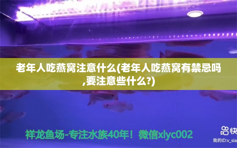 老年人吃燕窝注意什么(老年人吃燕窝有禁忌吗,要注意些什么?)