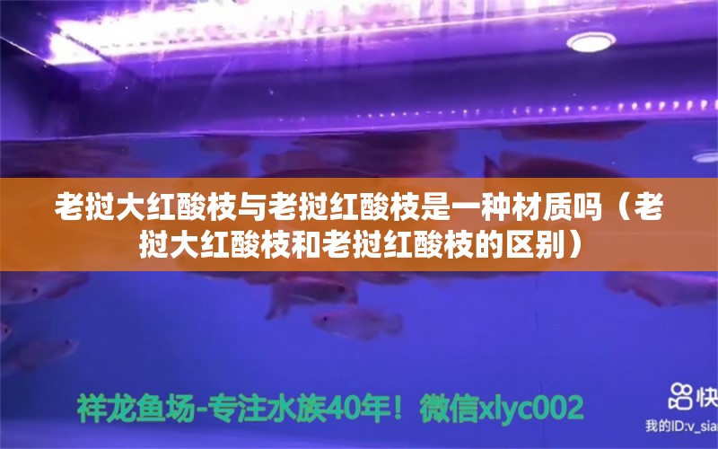 老挝大红酸枝与老挝红酸枝是一种材质吗（老挝大红酸枝和老挝红酸枝的区别）