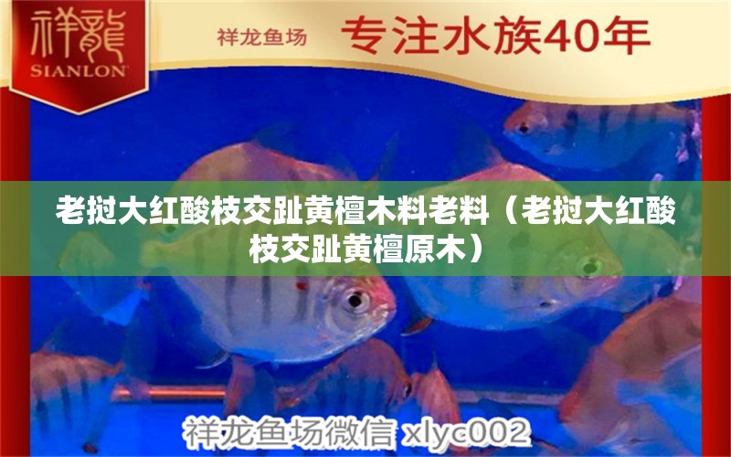 老挝大红酸枝交趾黄檀木料老料（老挝大红酸枝交趾黄檀原木）