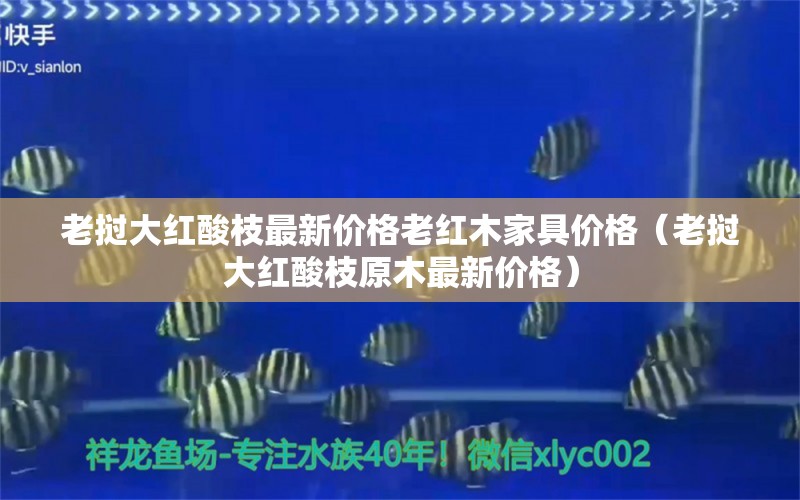 老挝大红酸枝最新价格老红木家具价格（老挝大红酸枝原木最新价格） 文玩