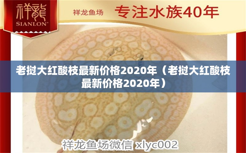 老挝大红酸枝最新价格2020年（老挝大红酸枝最新价格2020年）